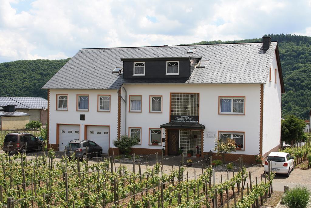 Weingut Und Gaestehaus Wolfgang Beth Kinheim Luaran gambar